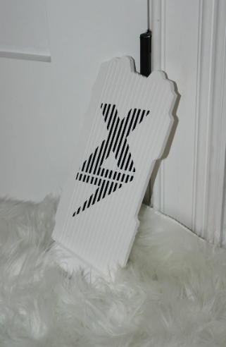 EBMX controller cover